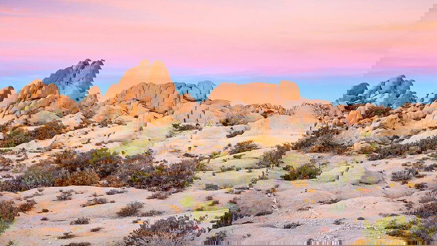 Hiking the Best of Death Valley & Joshua Tree