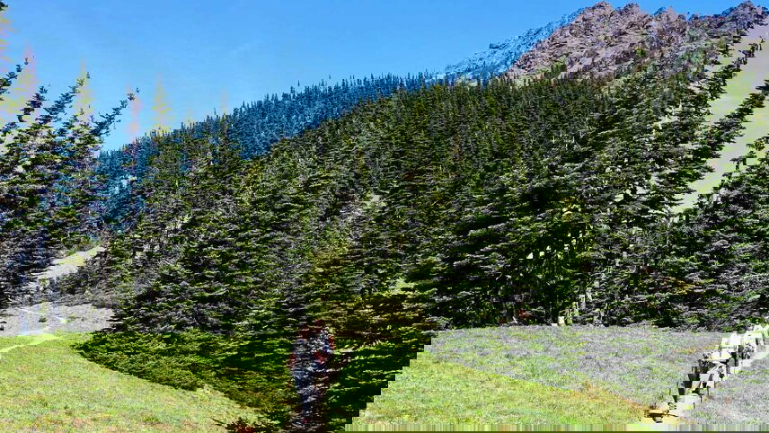 Hiking Washington's Olympic National Park