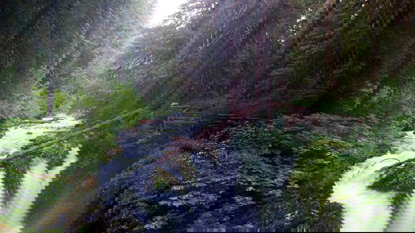 Hiking Washington's Olympic National Park