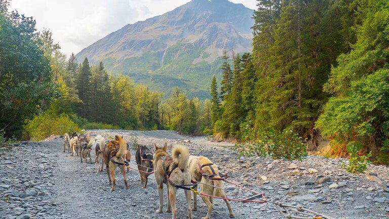 Alaska Summer Family Holiday