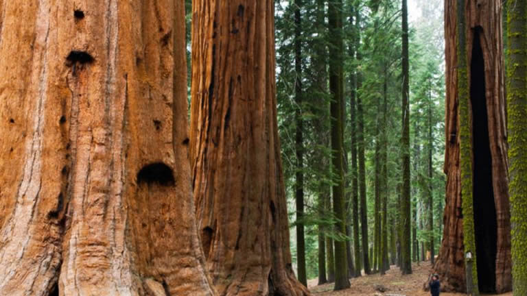 Las Vegas to San Fran: Parks, Canyons, Valleys