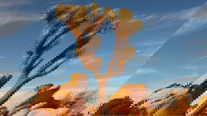 LA to Vegas Adventure