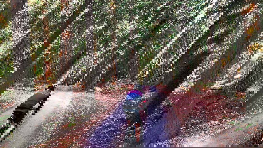 Cycle Washington's San Juan Islands