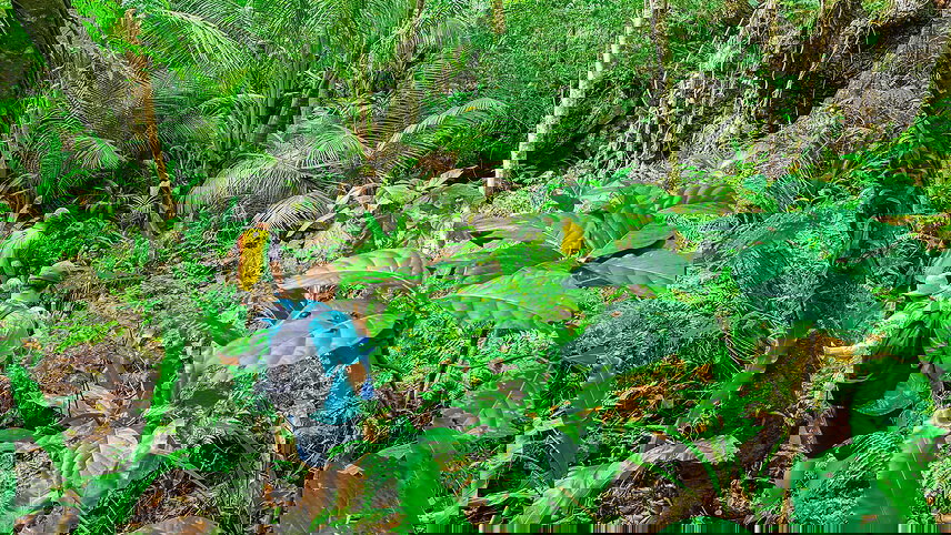 Cook Islands Adventure