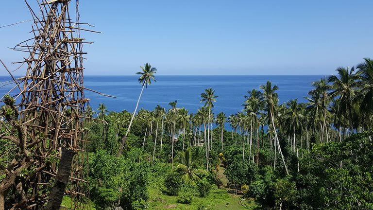 Vanuatu Expedition: Land Diving Festival