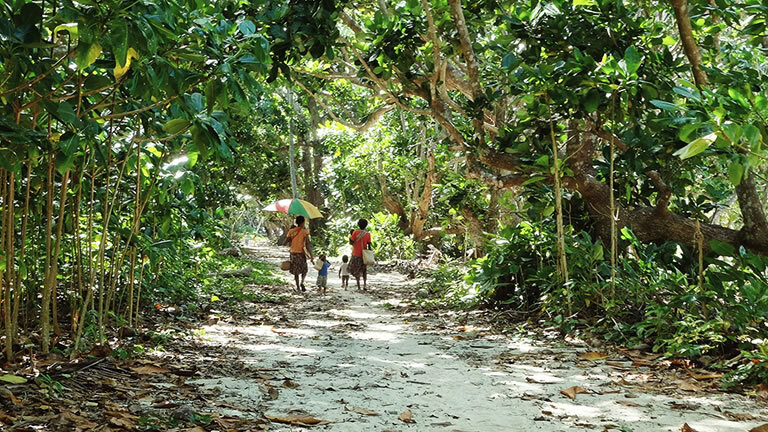 Vanuatu Expedition: Land Diving Festival