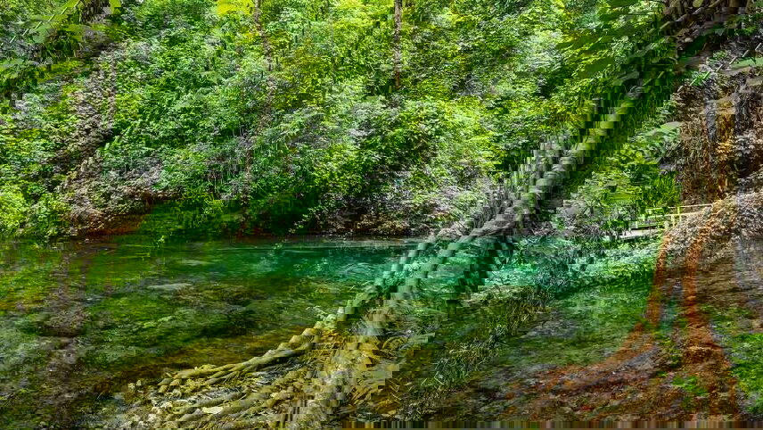 Vanuatu & New Caledonia Adventure