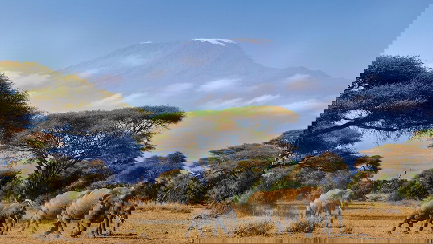 Kilimanjaro & Serengeti Adventure