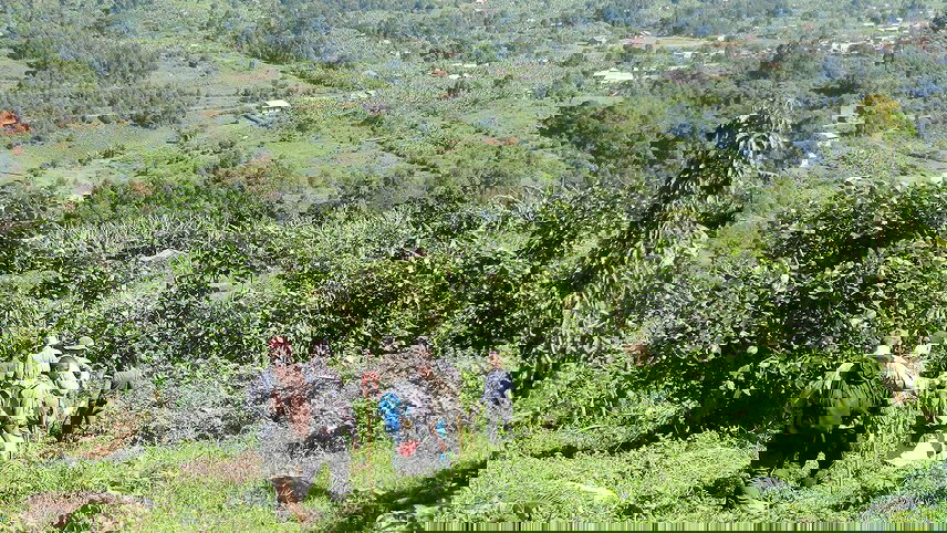 Rwanda Gorilla Naming Ceremony & Uganda