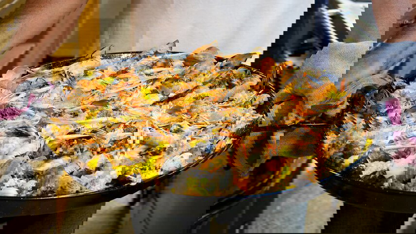 Premium Northern Spain