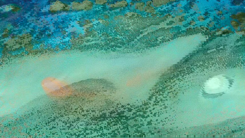 Australia’s Top End: Cape York & the Great Barrier Reef