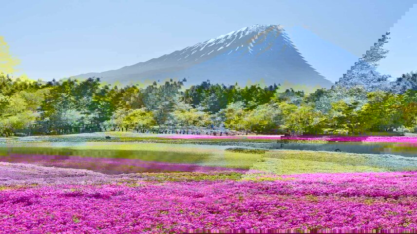 Japan & South Korea in Depth