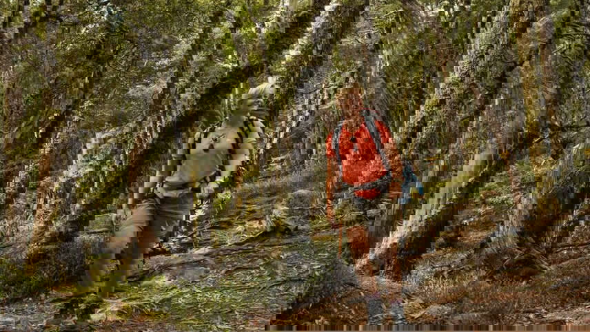 Cradle Mountain (Signature Walk)