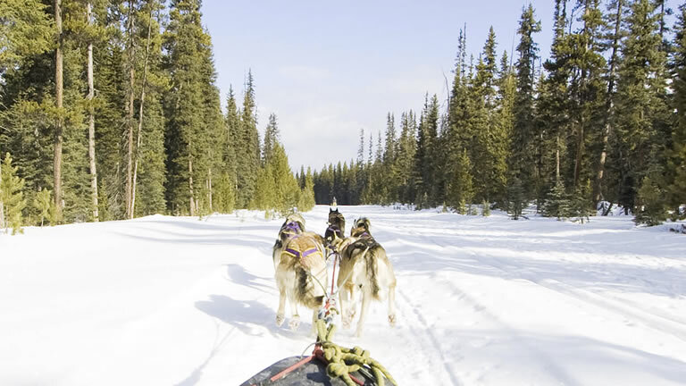 Get Social: Canadian Rockies (Winter)