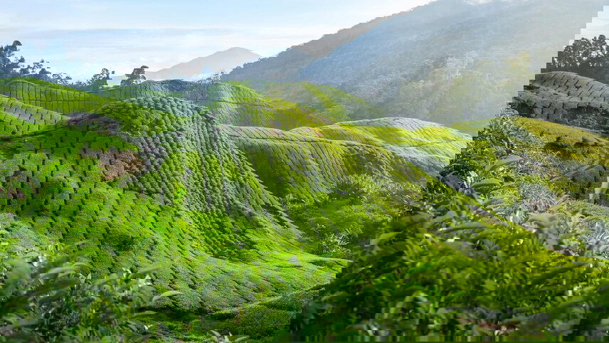 Highlights of Singapore and Malaysia with Beach Stay