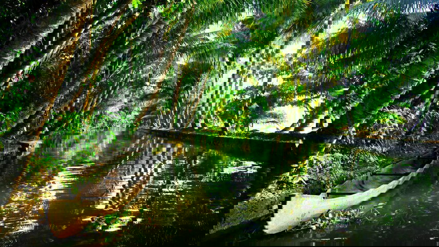 Discover Southern India and Kerala