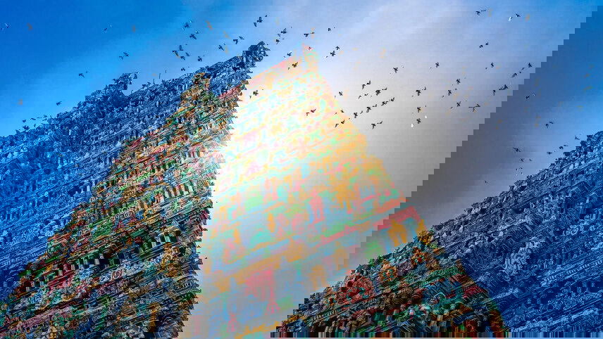 Discover Southern India and Kerala