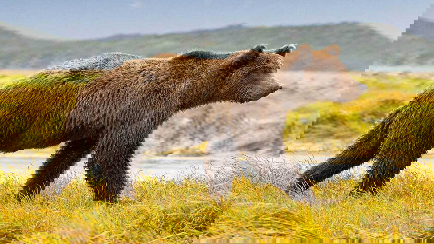 Reflections of the Rockies and Alaskan Adventure