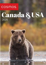 Cosmos Canada & USA (2026) Brochure