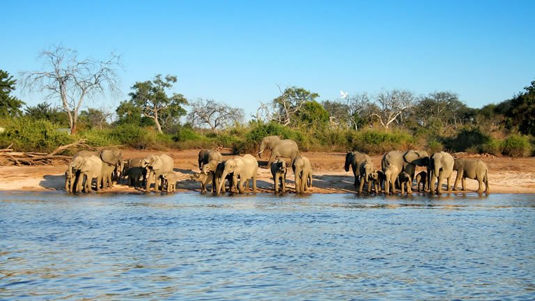 Delta & Falls Westbound: Natural Wonders & Wildlife