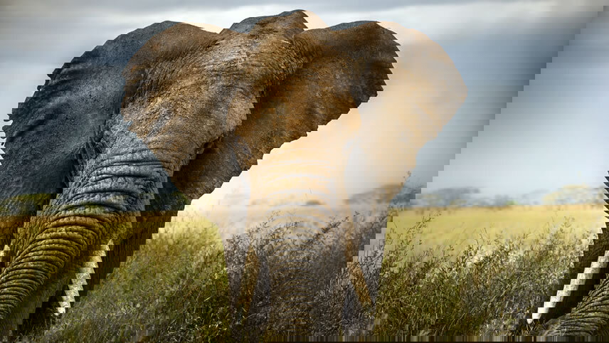 Uncover the Essence of South Africa