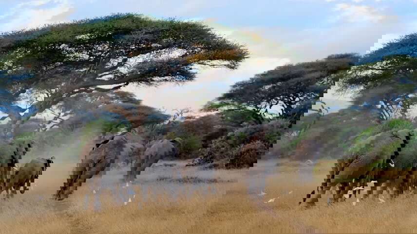 Victoria Falls & Serengeti Overland: Lakes & Landos