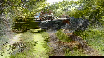 Travelmarvel Small Group Tours