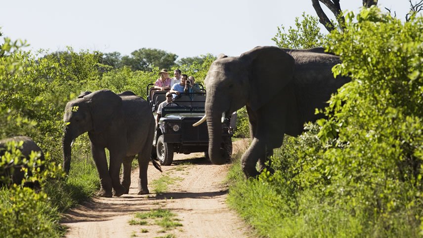 Explore Kruger & Victoria Falls