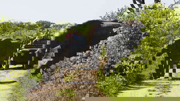 19 Day Journeys: Cape Town, Kruger & Namibia (G Adventures)