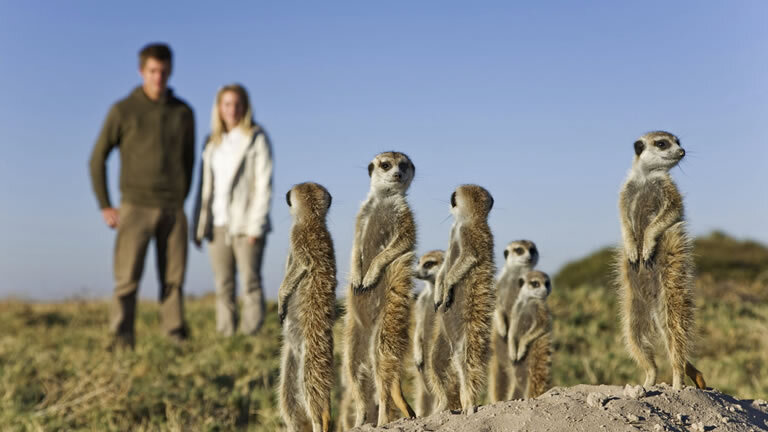 Okavango Delta & Deserts