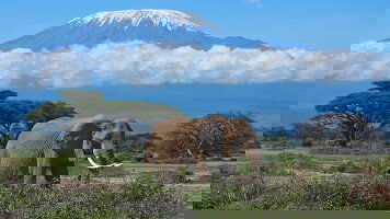 12 Day East African Adventure (Scenic)