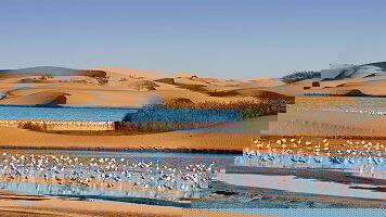 23 Day Africa Cruise From Cape Town To London (Norwegian Cruise Line)