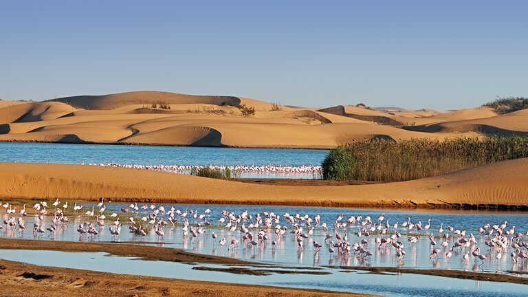 Lagoons, Safaris & Dunes