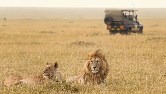 Spot the Big 5