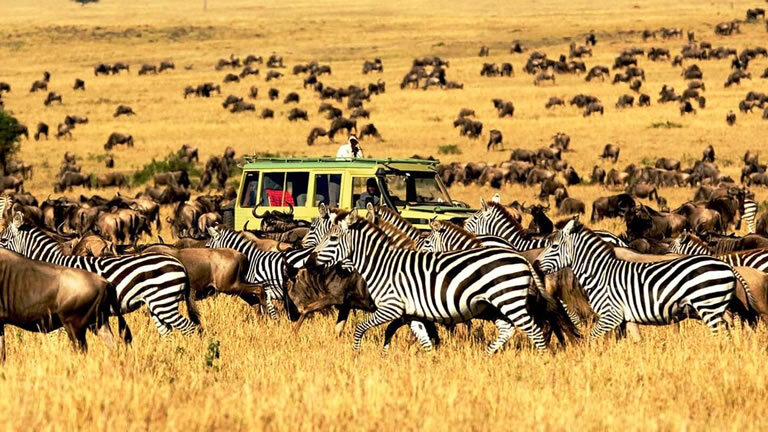 Kenya & Tanzania Safari Adventure with Zanzibar