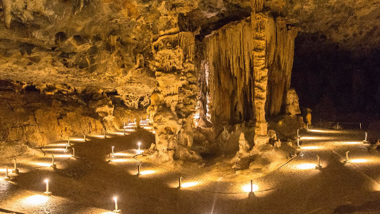 Garden Route and Addo