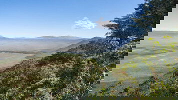 11 Day On Safari in Kenya & Tanzania (Cosmos)