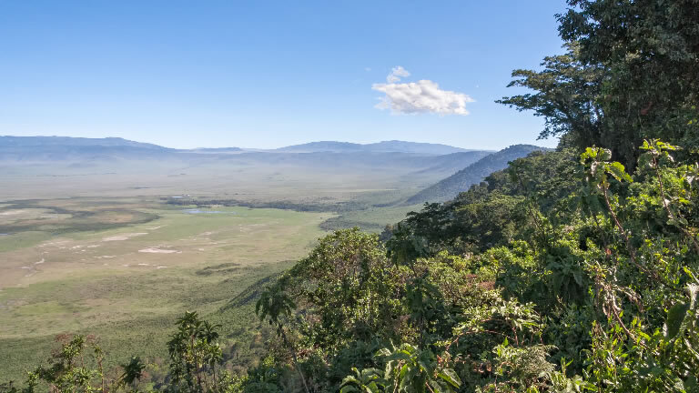 On Safari in Kenya & Tanzania