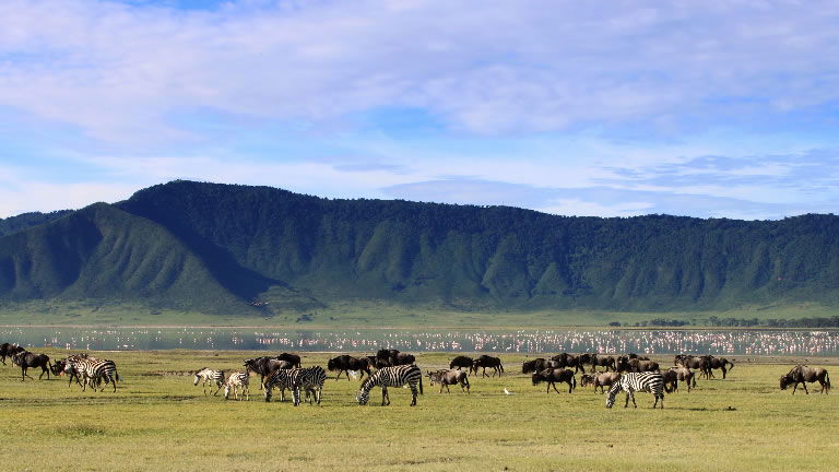 Ngorongoro, Tanzania Ngorongoro, Tanzania