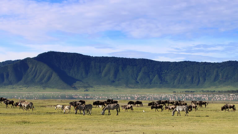 East Africa Private Safari