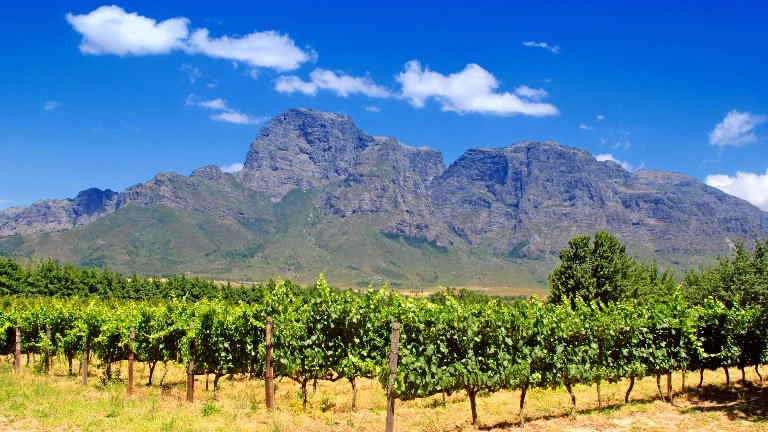 Wine Tasting, Sea Kayaking and Discovering Cape Town