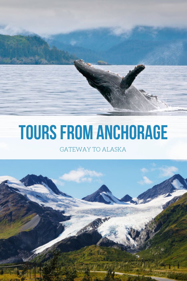 Tours You Can Take from Anchorage