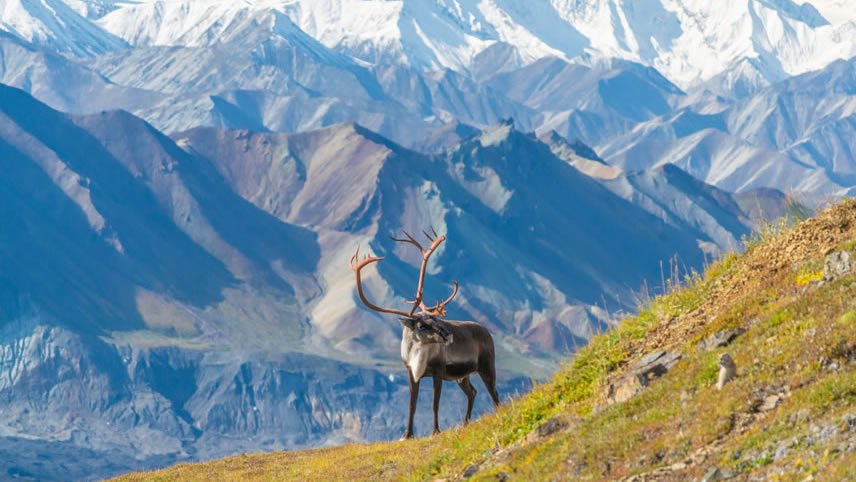 Grand Canada, Alaska & Arctic Circle