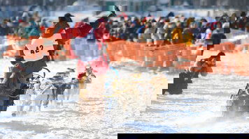 11 Day Alaska's Iditarod with Fairbanks (Globus)