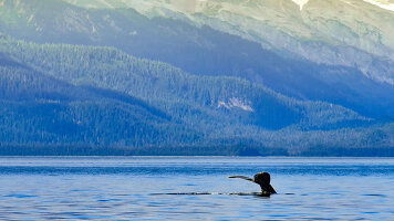 8 Day Glacier Peaks & Historic Rails (Regent Seven Seas)