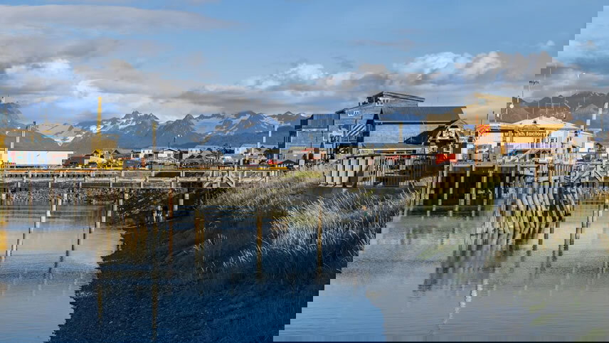 Alaska: Call of the Wild