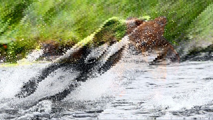 North Pacific Passage