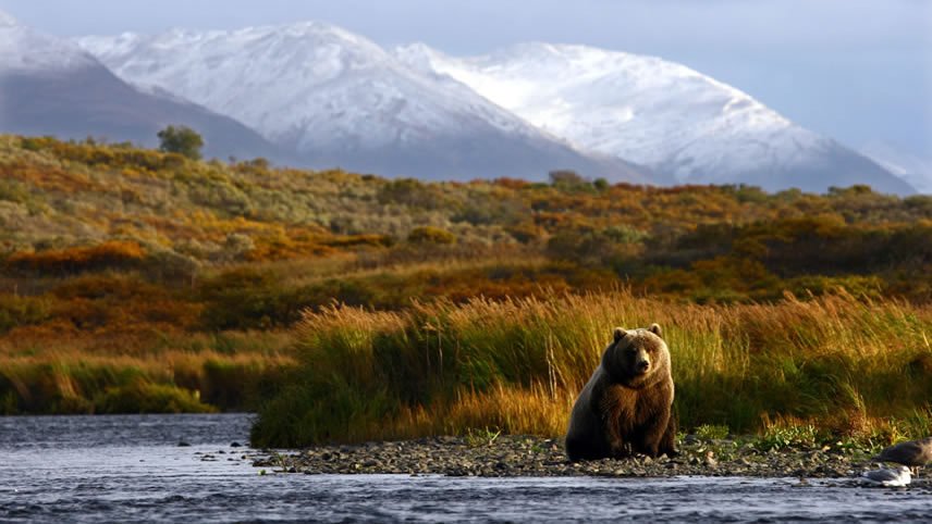 Alaska and its Fur Traders 