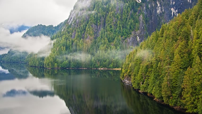 Alaska And British Columbia – Inside Passage, Bears And Aleutian ...