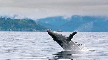 8 Day Seward, Alaska to Vancouver (Crystal)